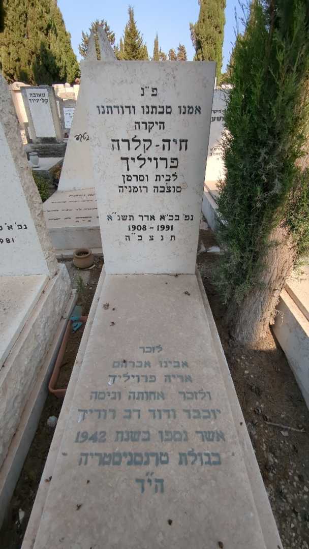 קברו של דוד דב רודיך