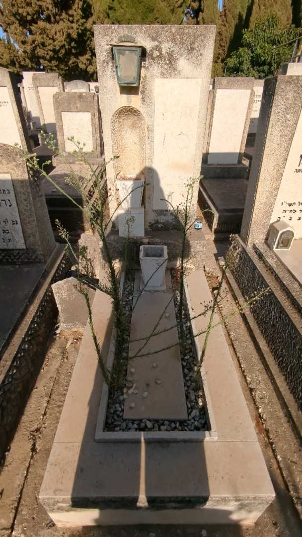 קברו של מיסה פין