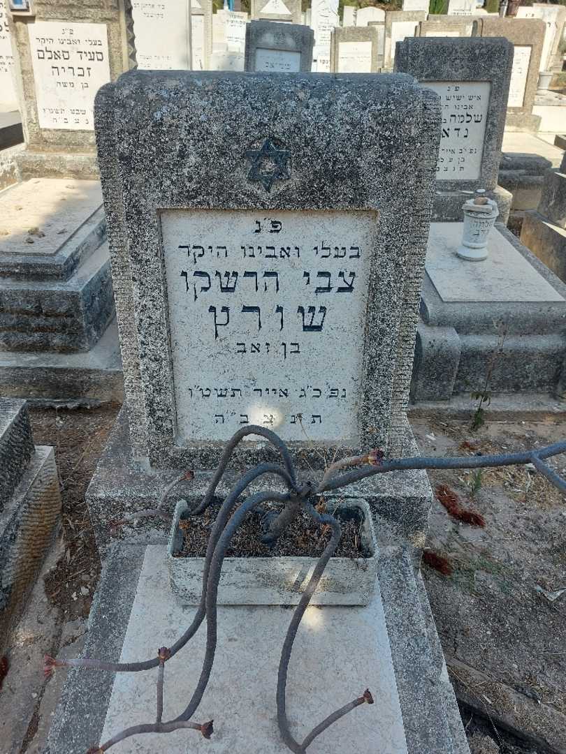 קברו של צבי הרשקו שורץ. תמונה 2