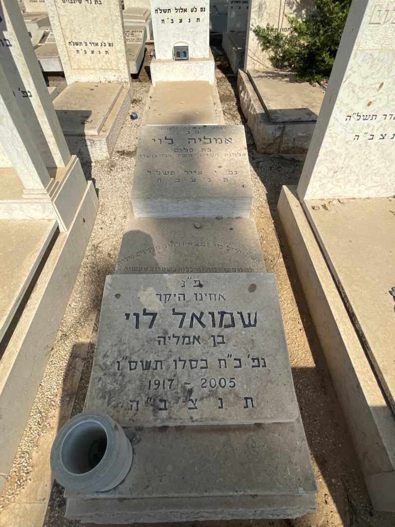 קברו של אמליה לוי