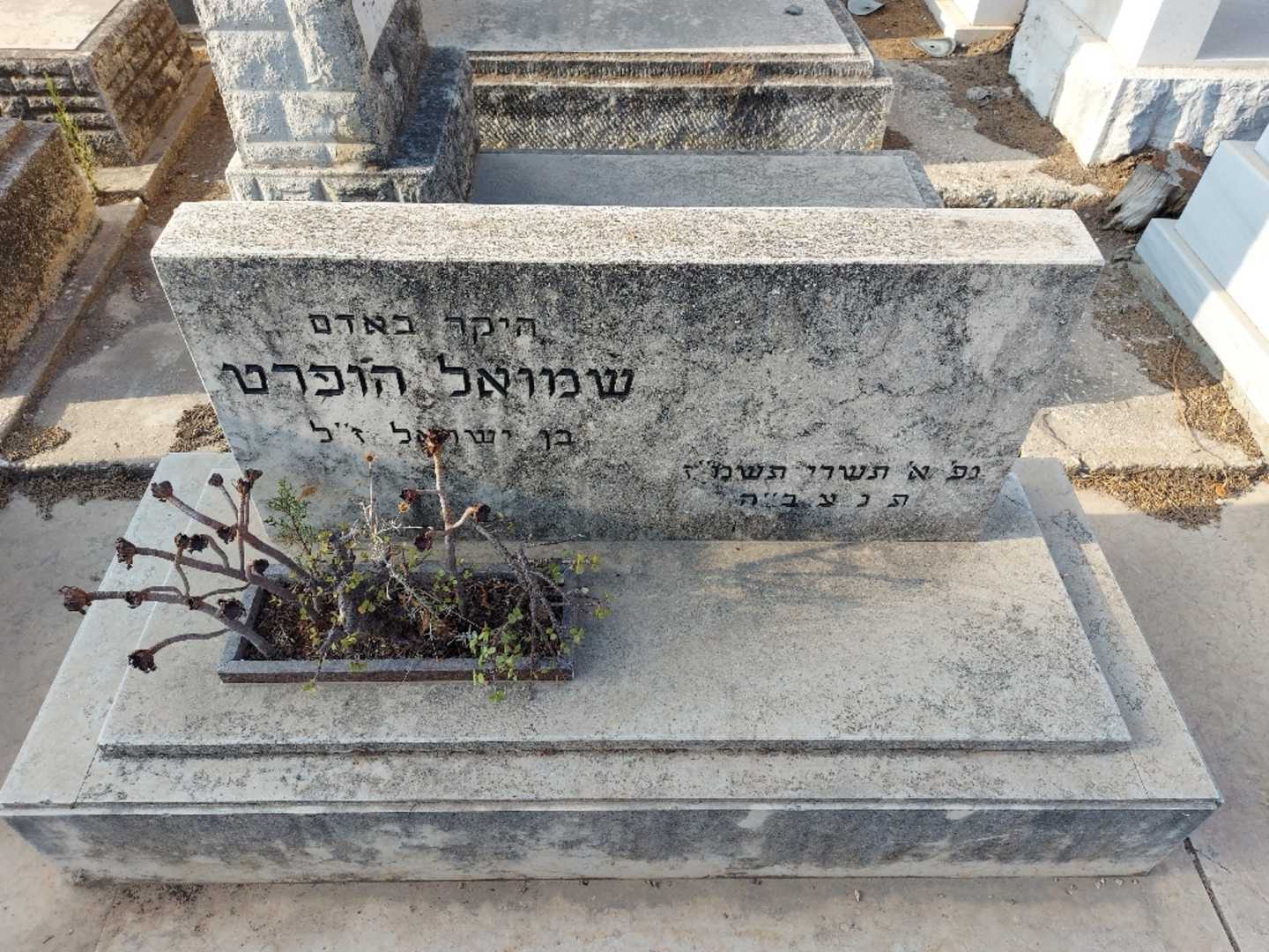 קברו של שמואל הופרט