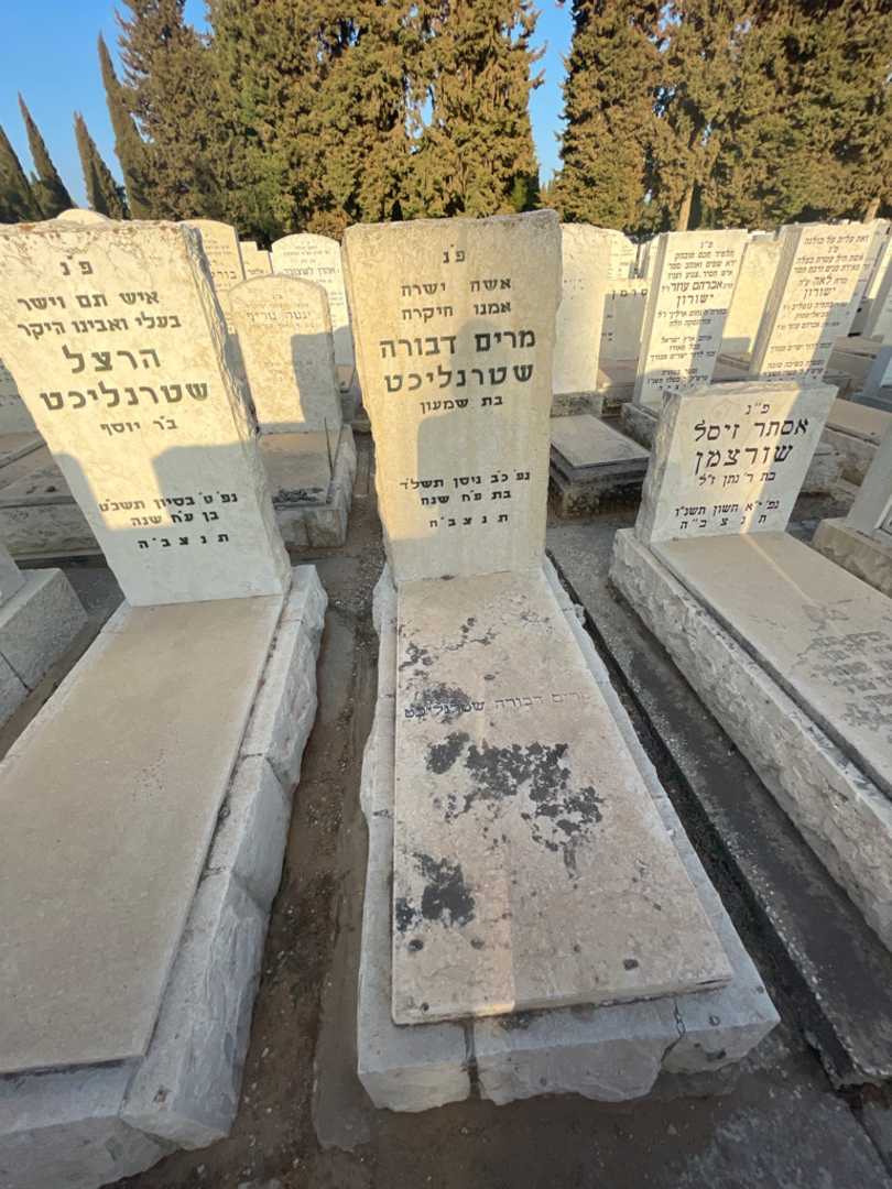 קברו של מרים דבורה שטרנליכט. תמונה 2