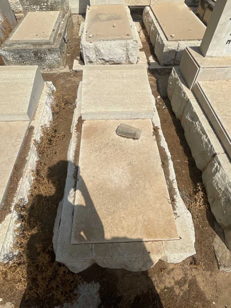 קברו של טובה כ''ץ. תמונה 2