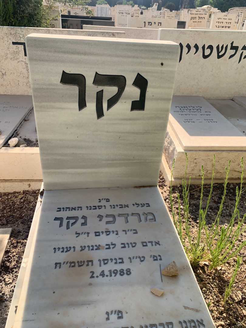 קברו של מרדכי נקר. תמונה 1