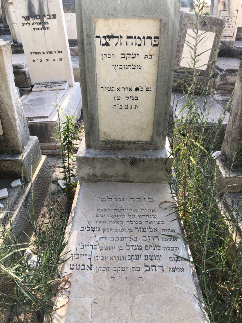 קברו של מנחם מנדל פריילין