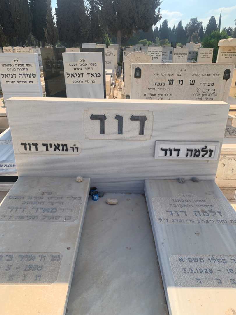 קברו של זלמה דוד גרינברג. תמונה 1