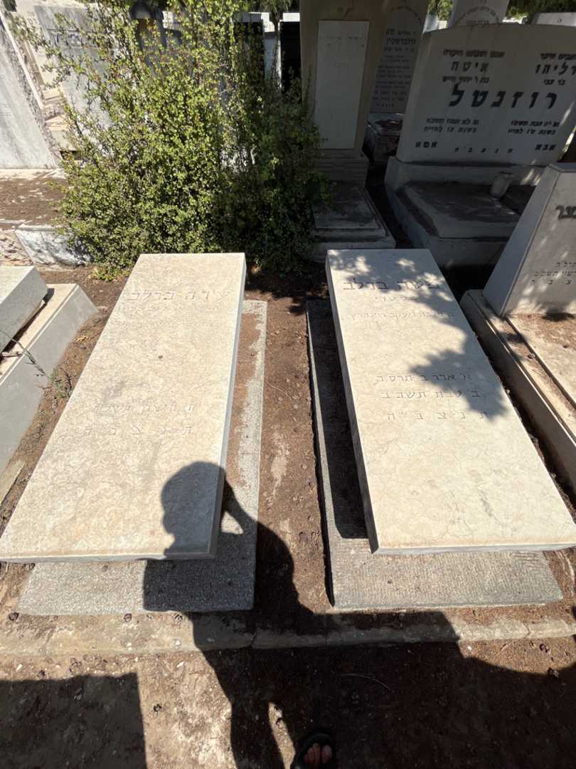 קברו של משה ברלב. תמונה 2