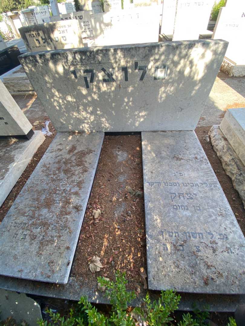 קברו של יצחק סלוצקי. תמונה 2