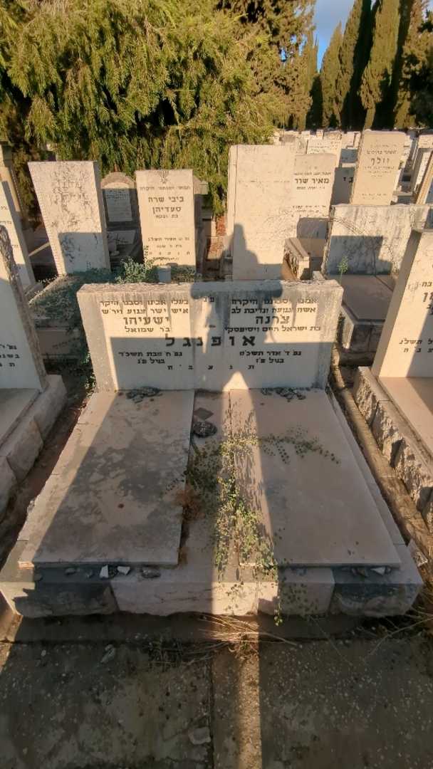 קברו של יעשיהו אופנגל. תמונה 2