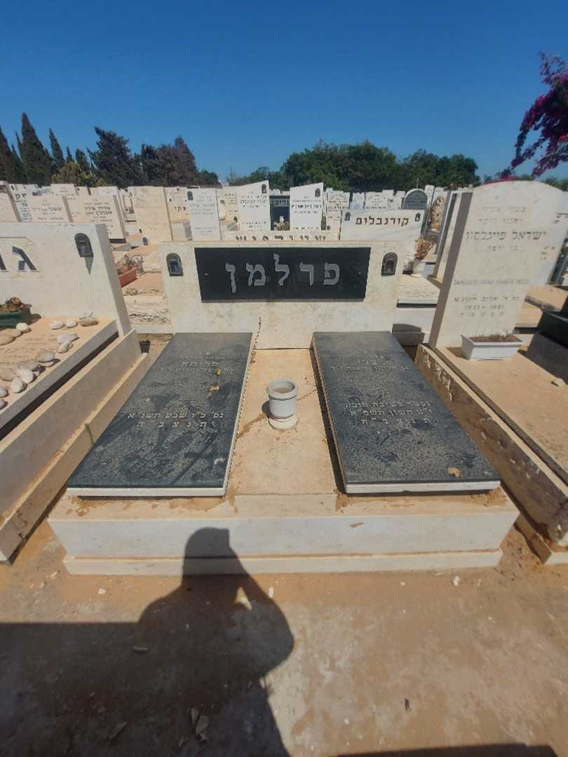 קברו של צבי פרלמן. תמונה 1