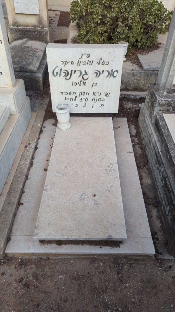 קברו של אריה גרינהוט