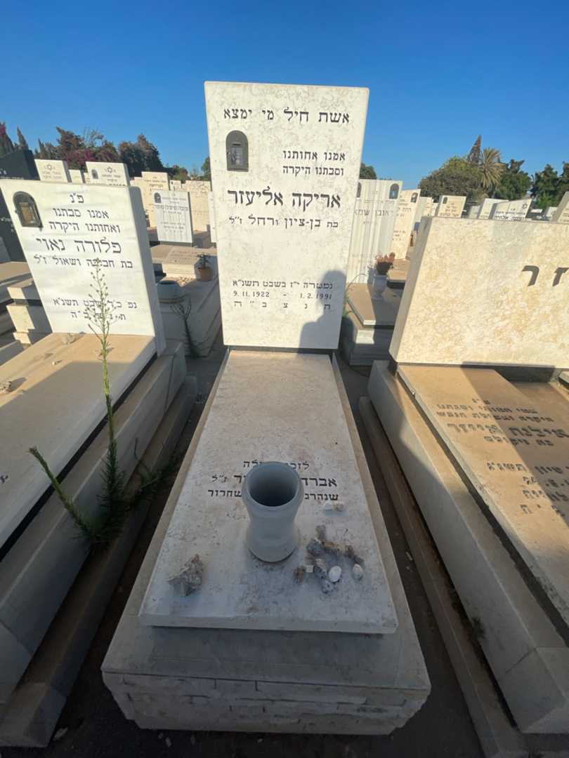 קברו של אריקה אליעזר