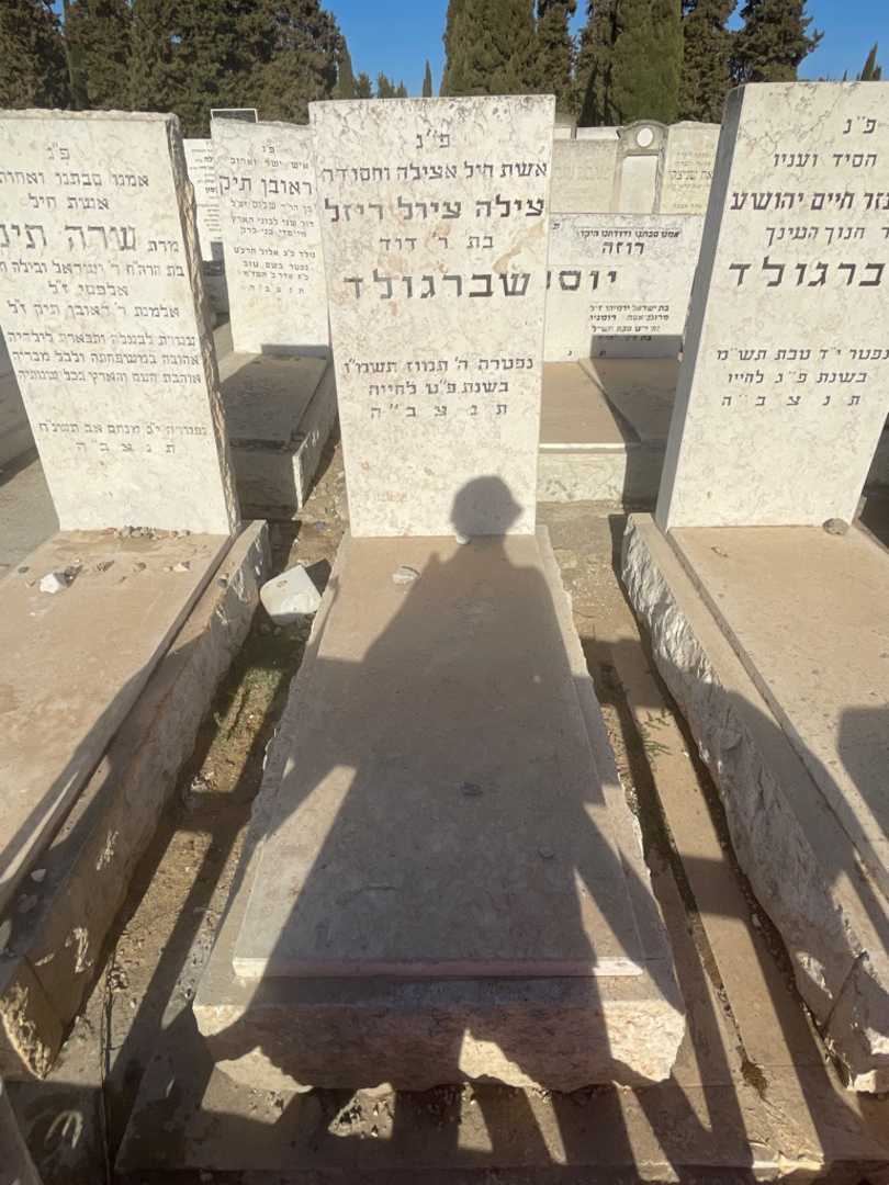 קברו של צילה צירל ריזל שברגלוד. תמונה 2