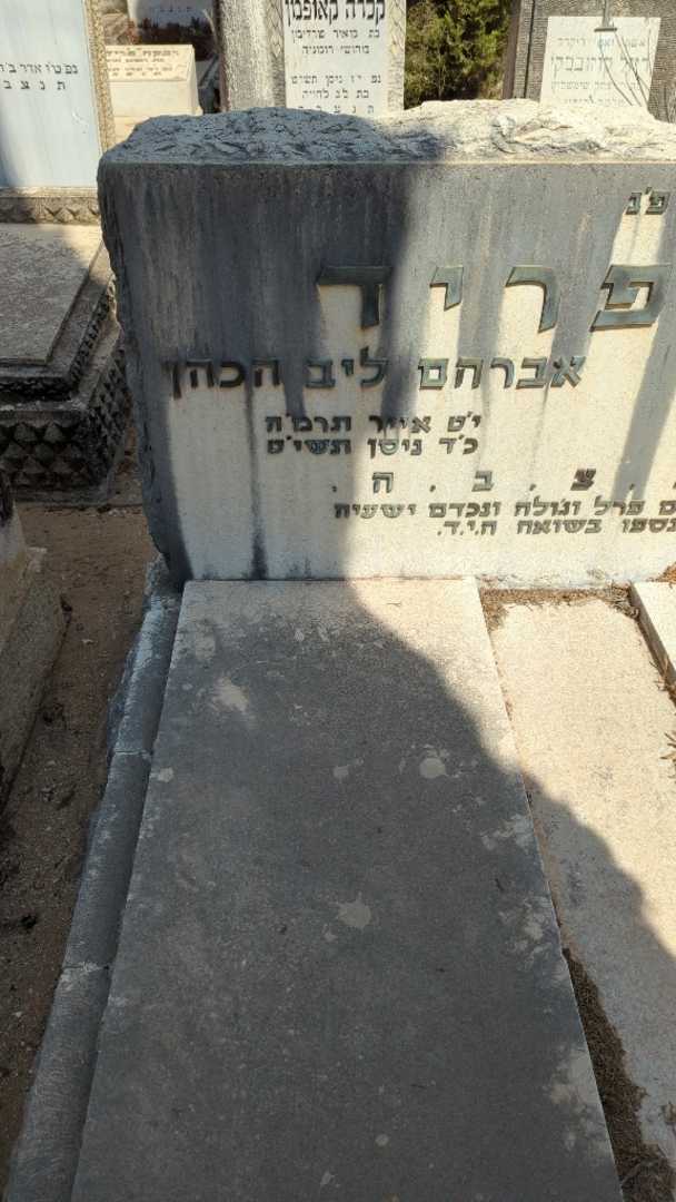 קברו של אברהם ליב הכהן גוטפריד. תמונה 1