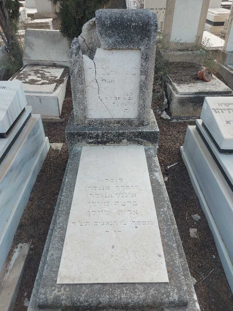 קברו של אריה מיילן