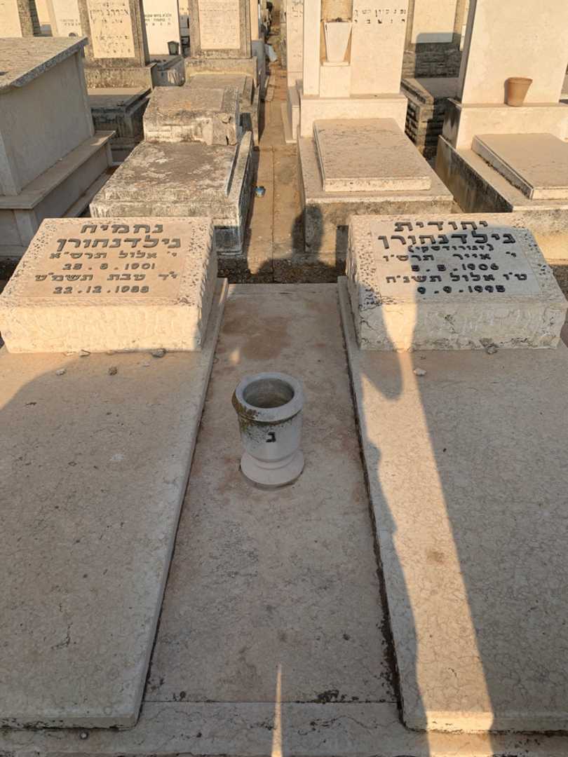 קברו של יהודית גילדנהורן. תמונה 1