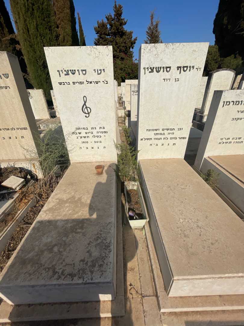 קברו של יוסף סושצ'ין. תמונה 1