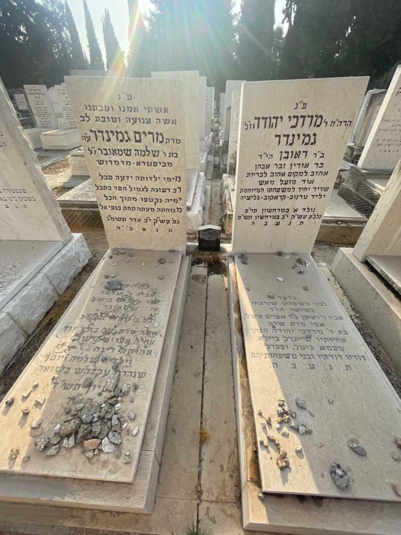 קברו של מרדכי יהודד גמינדר. תמונה 1