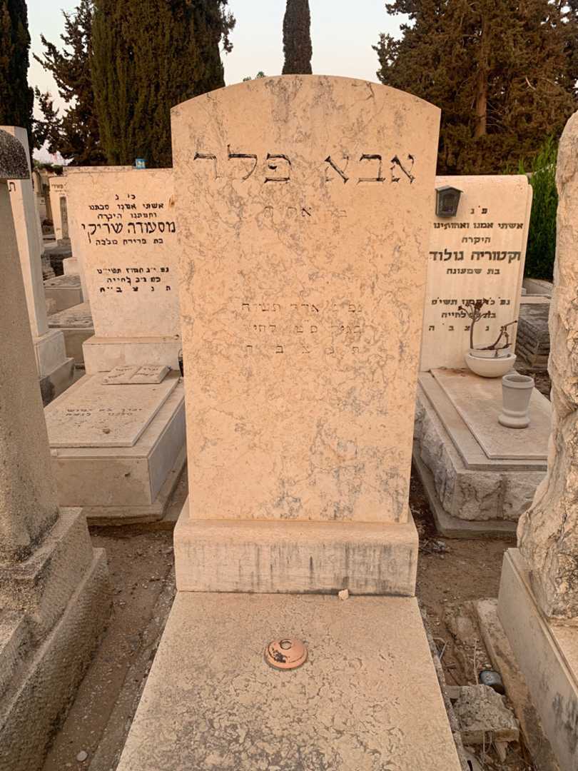 קברו של אבא פלר