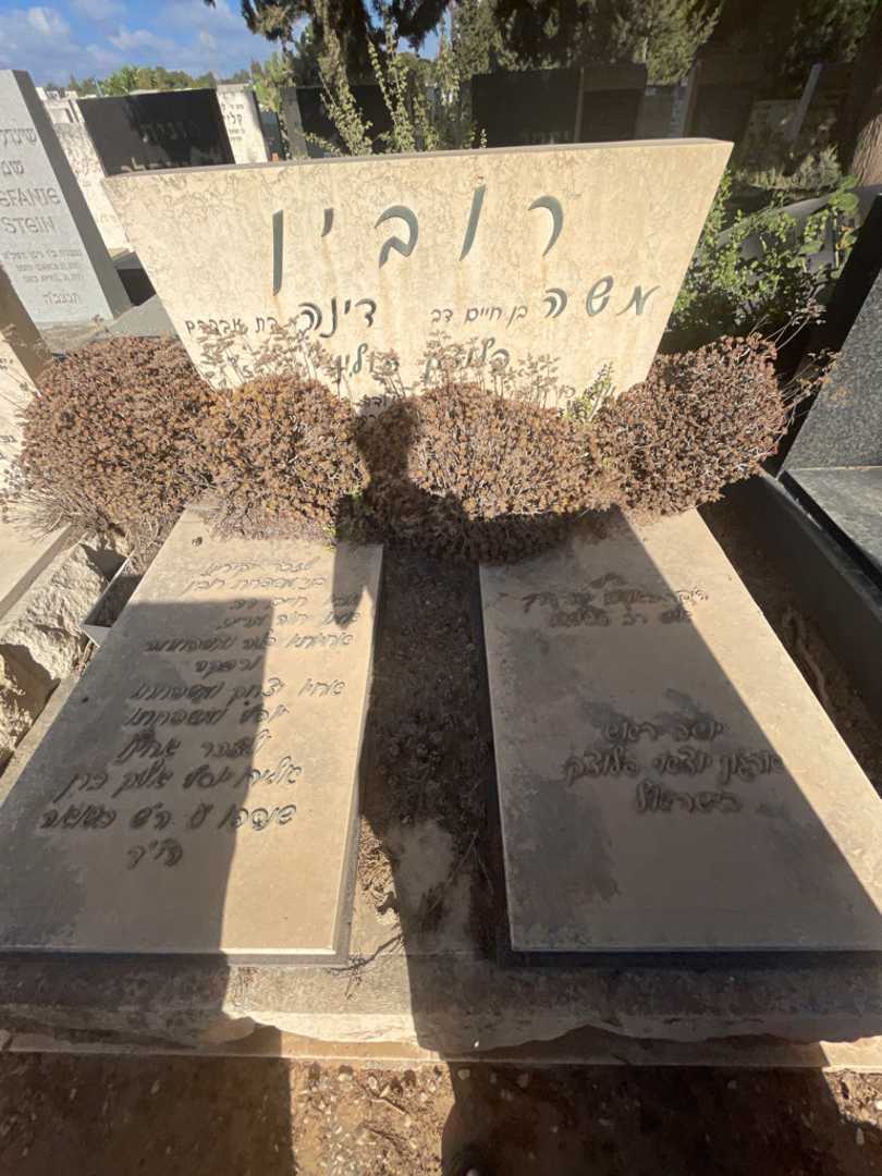 קברו של משה רובין. תמונה 1