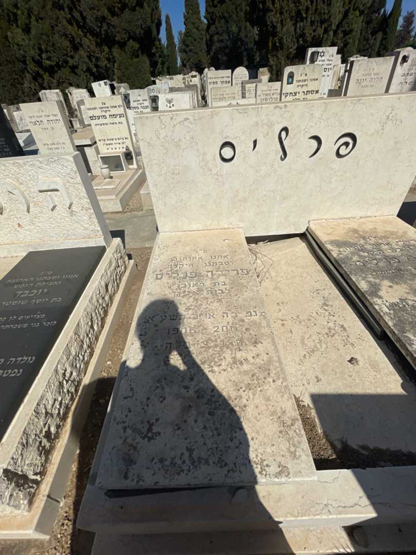 קברו של פרידה פרליס. תמונה 2