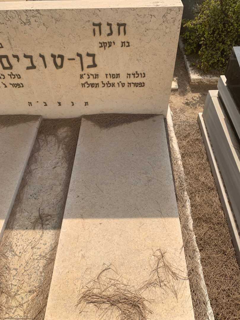 קברו של חנה בן-טובים. תמונה 1
