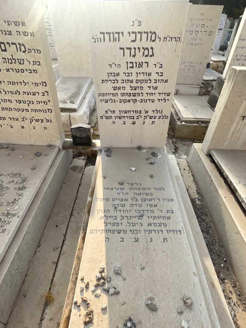 קברו של מרדכי יהודד גמינדר. תמונה 2
