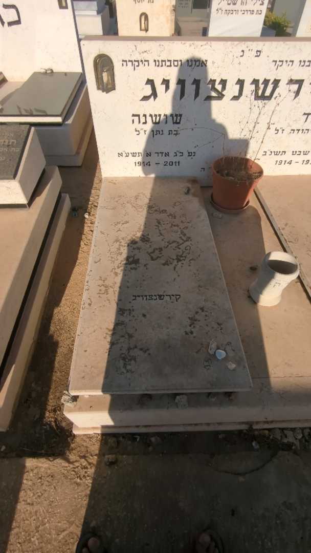 קברו של שושנה קירשנצוויג. תמונה 1