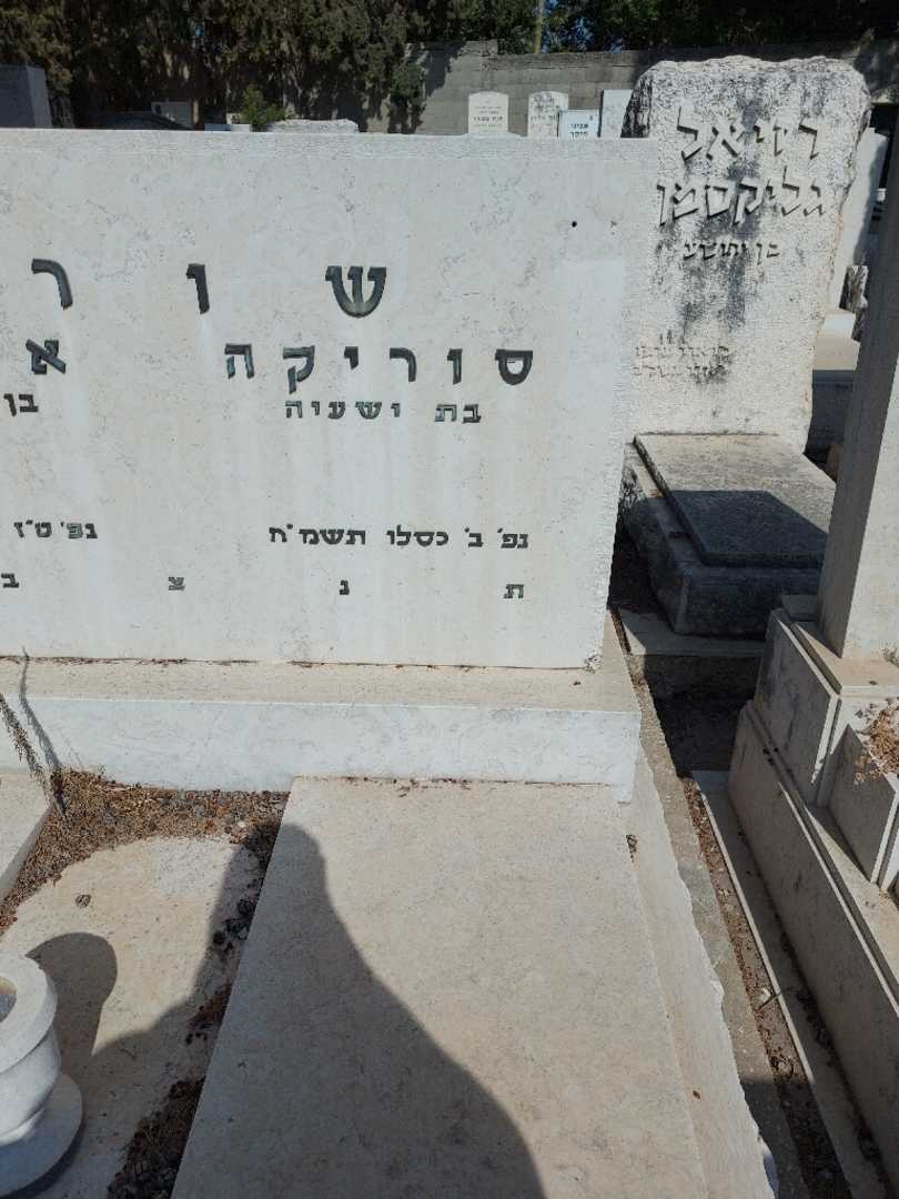 קברו של סוריקה שורץ. תמונה 1