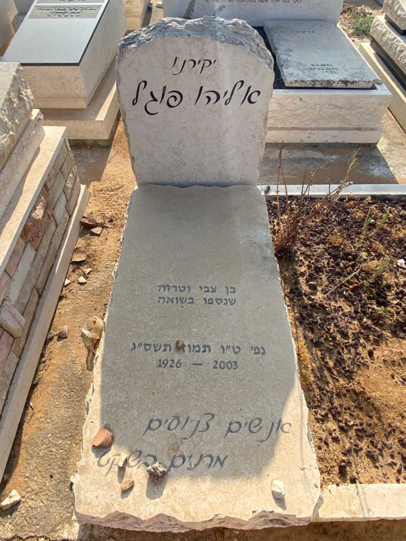 קברו של אליהו פוגל. תמונה 1