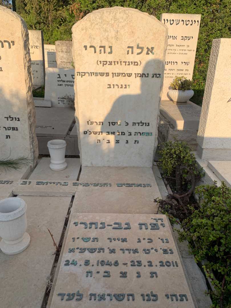 קברו של אלה "מינדז'יזצקי" נהרי. תמונה 2