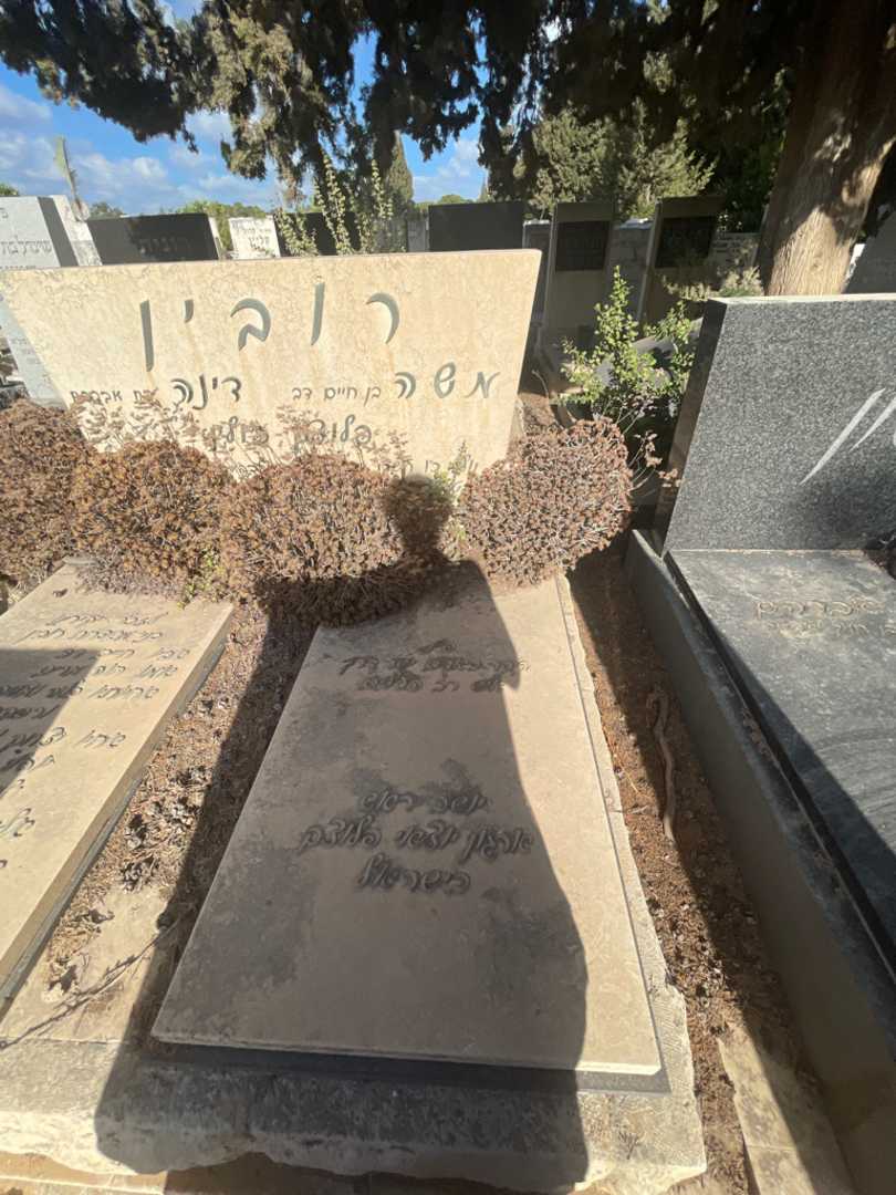 קברו של משה רובין. תמונה 2