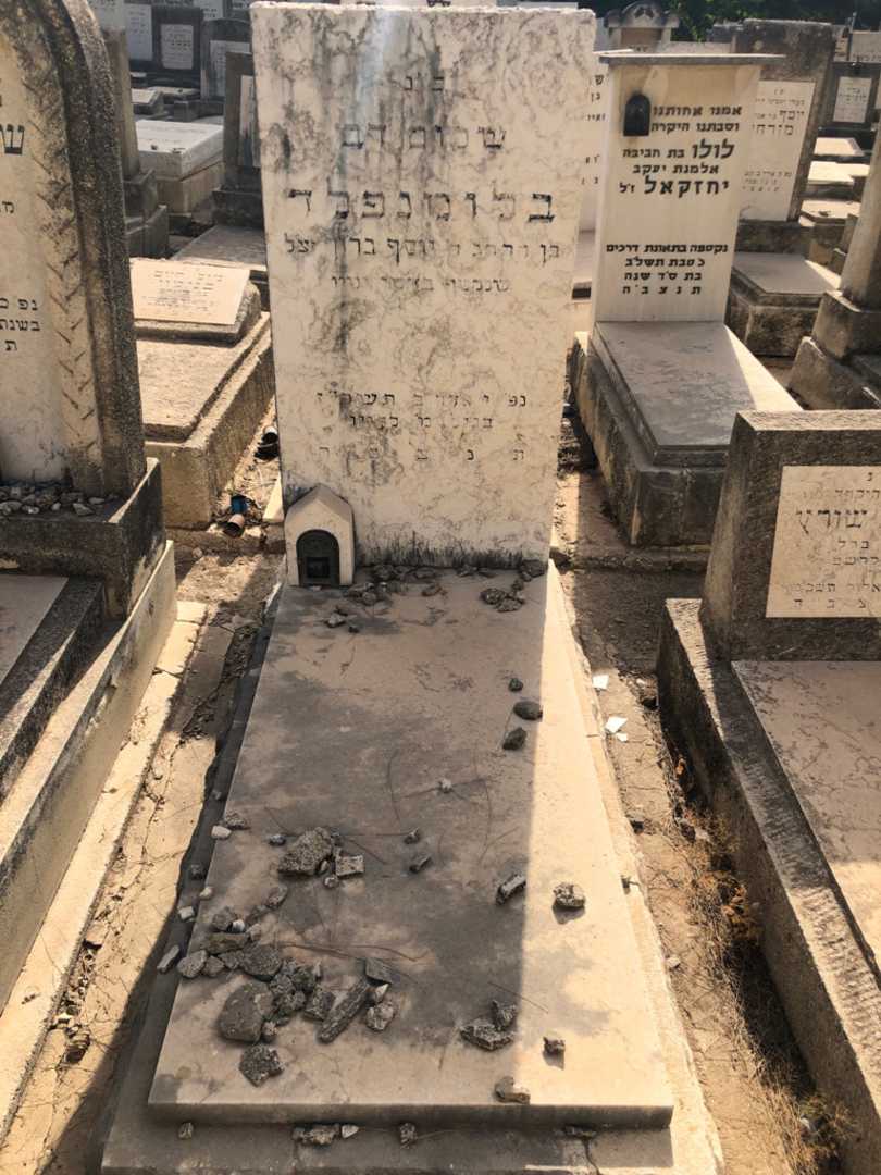 קברו של שלום דב בלומנפלד