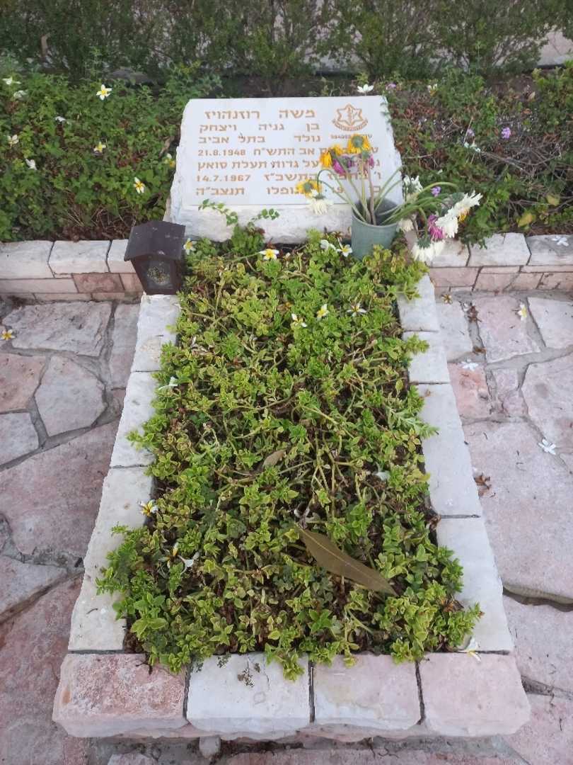 קברו של משה רוזנהויז. תמונה 1