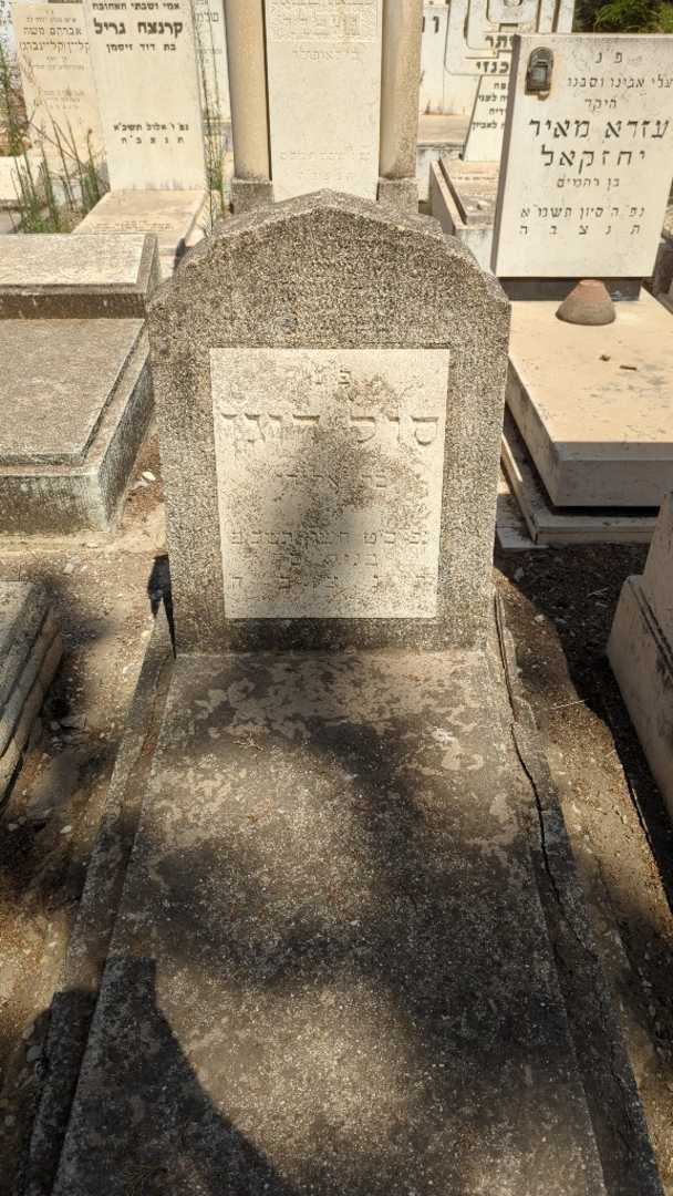 קברו של סול דוגו