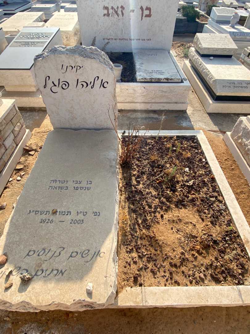 קברו של אליהו פוגל. תמונה 2