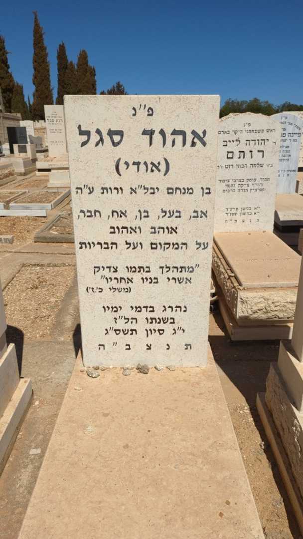 קברו של אהוד "אודי" סגל