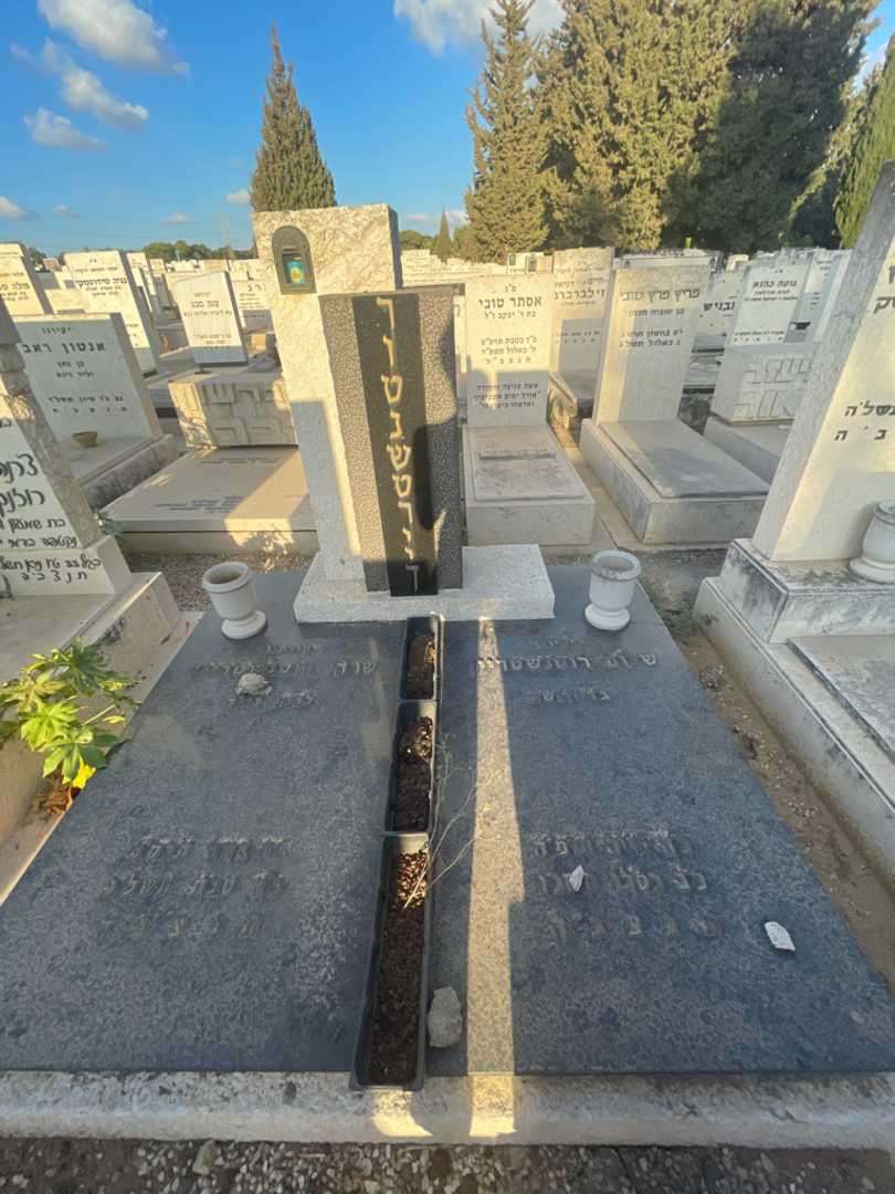קברו של שלום רוטנשטרייך. תמונה 1