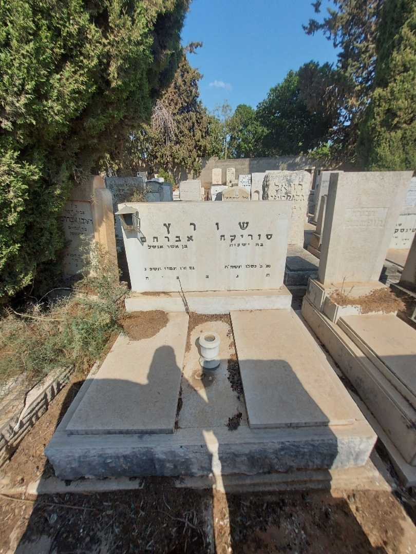 קברו של סוריקה שורץ. תמונה 2