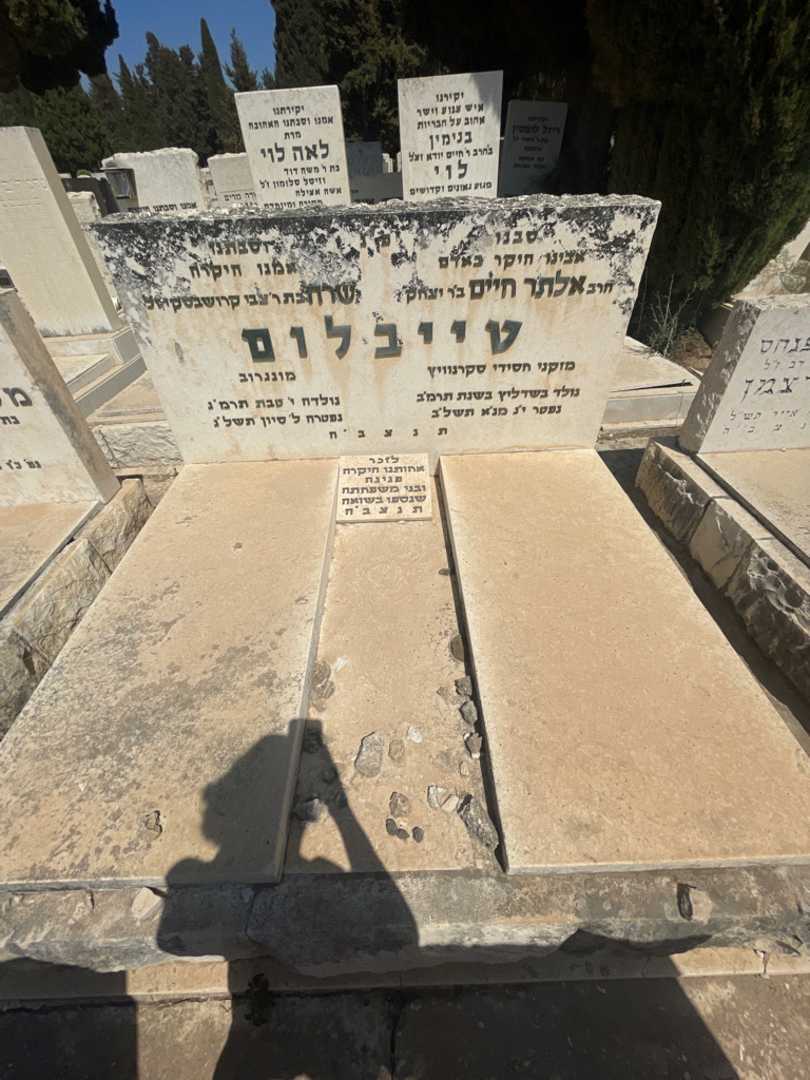 קברו של שרה טייבלום. תמונה 1