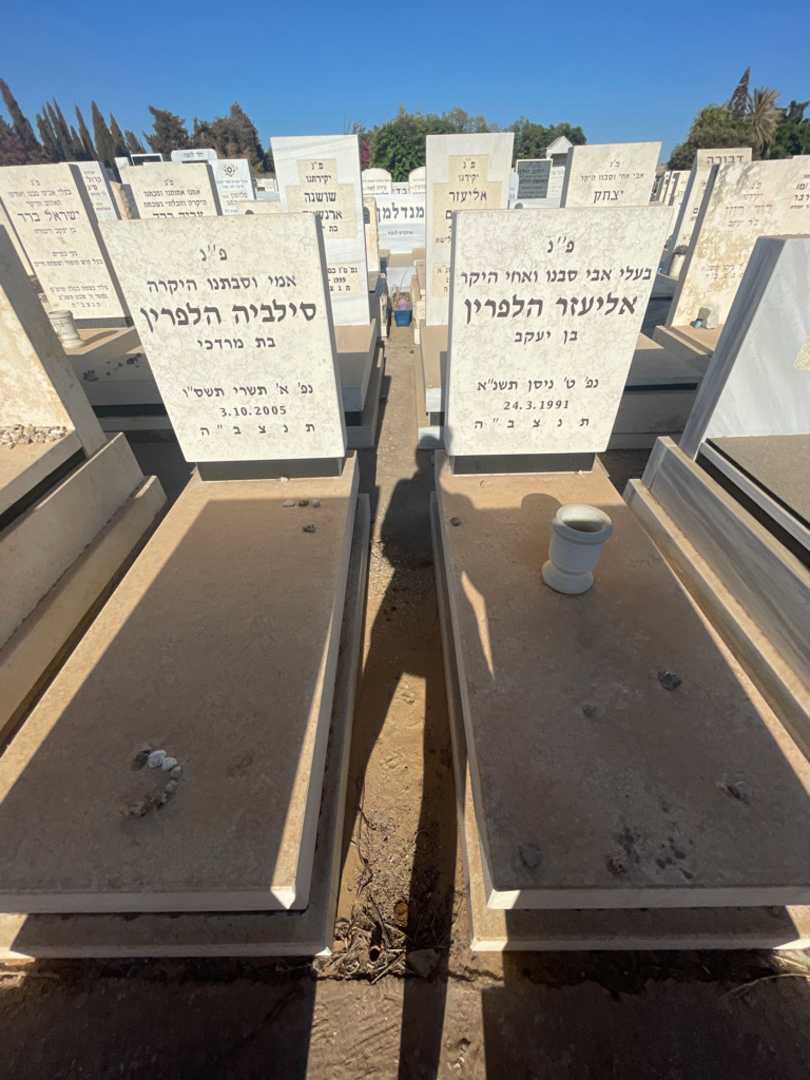 קברו של אליעזר הלפרין. תמונה 1