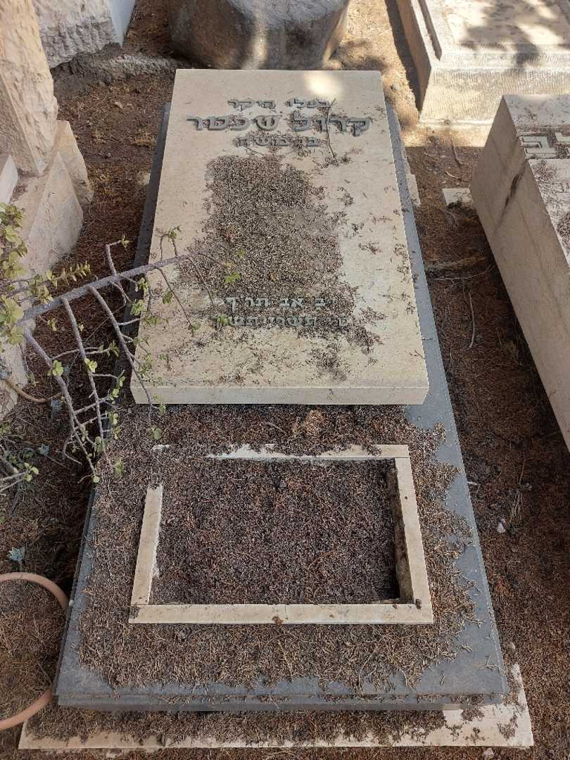 קברו של קרול שכטר