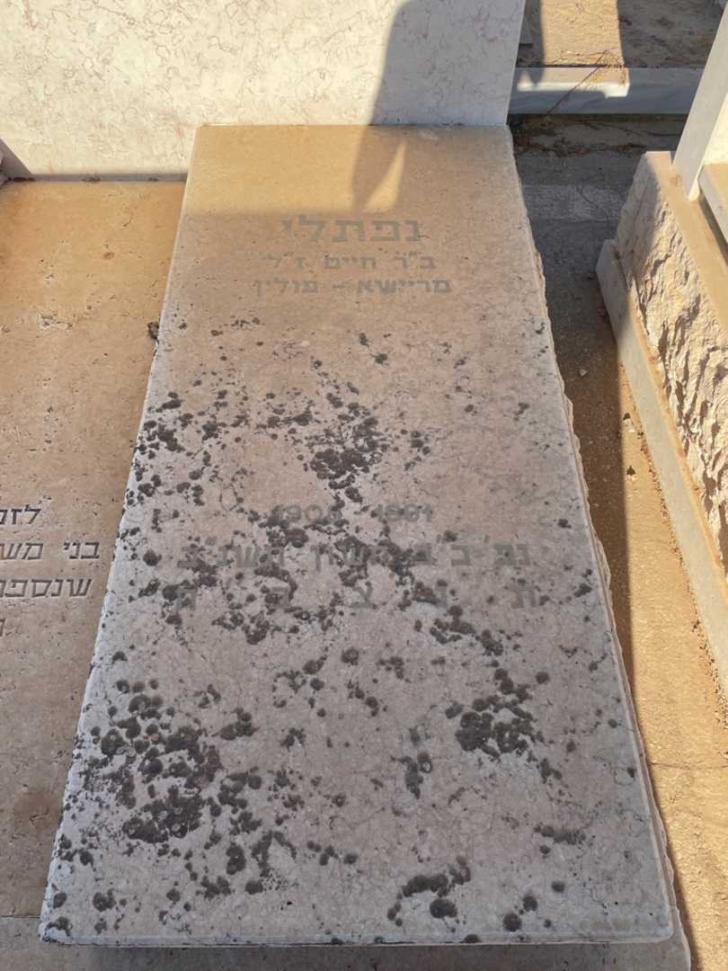 קברו של נפתלי "שוועבעל" קירש-שובל. תמונה 2