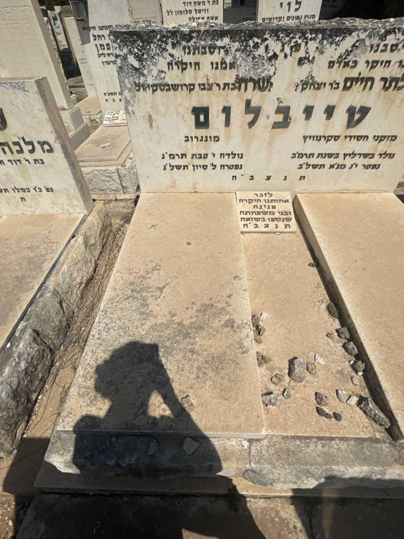 קברו של שרה טייבלום. תמונה 2