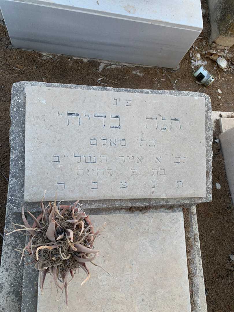 קברו של חנה בדיהי. תמונה 2