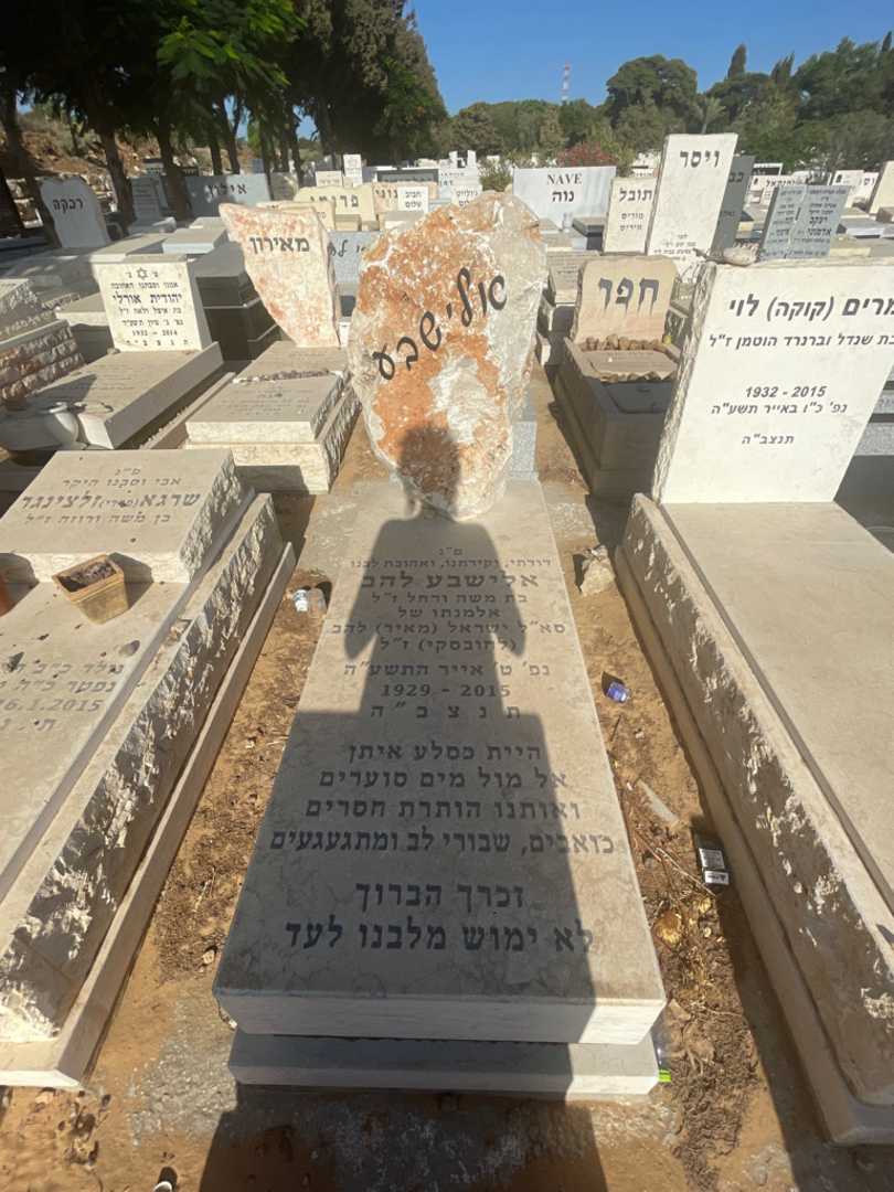 קברו של אלישבע להב