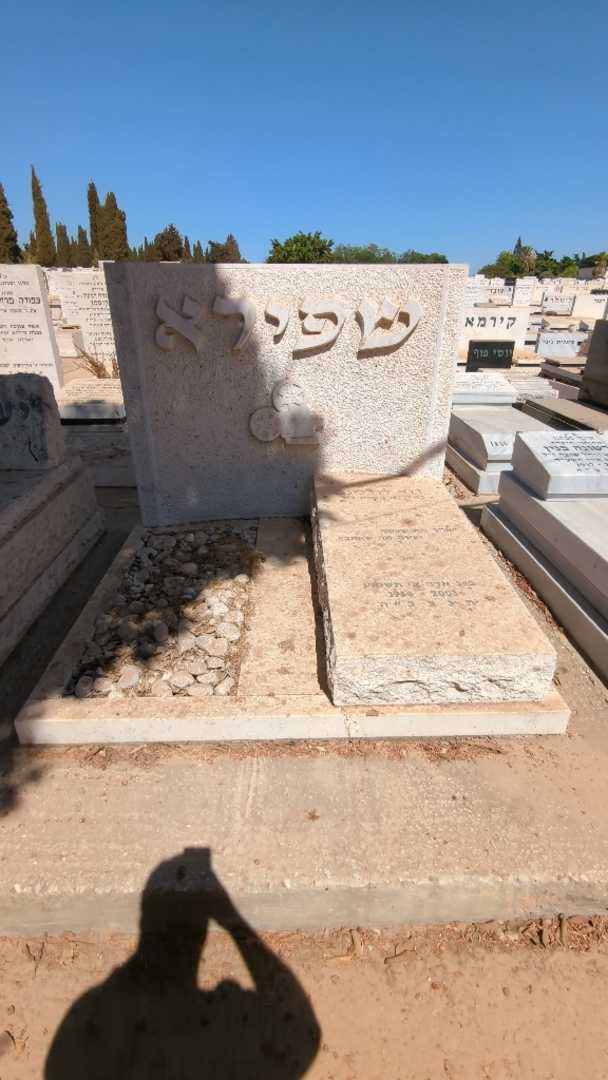 קברו של דוד "שפירא" דודלינג. תמונה 1