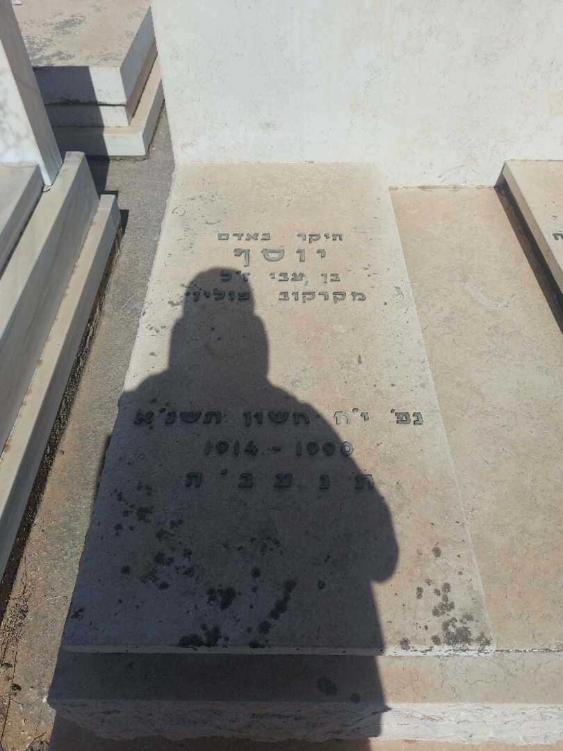 קברו של יוסף בירנבוים. תמונה 2