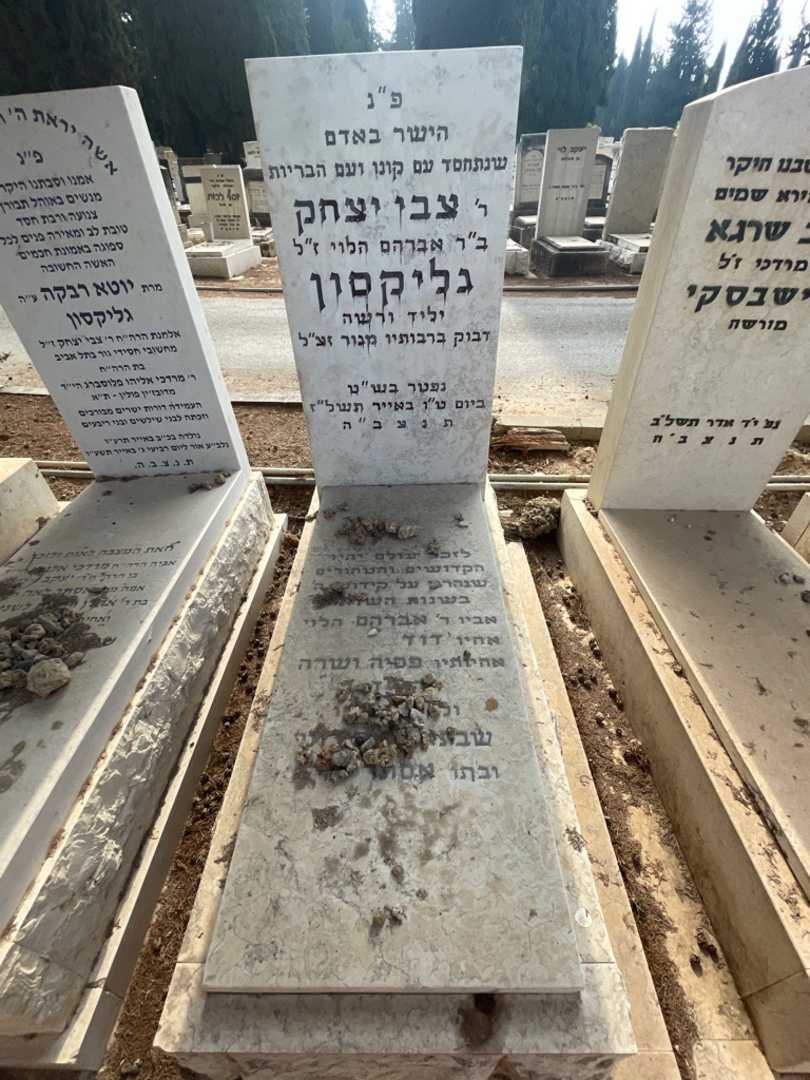 קברו של צבי יצחק גליקסון. תמונה 2