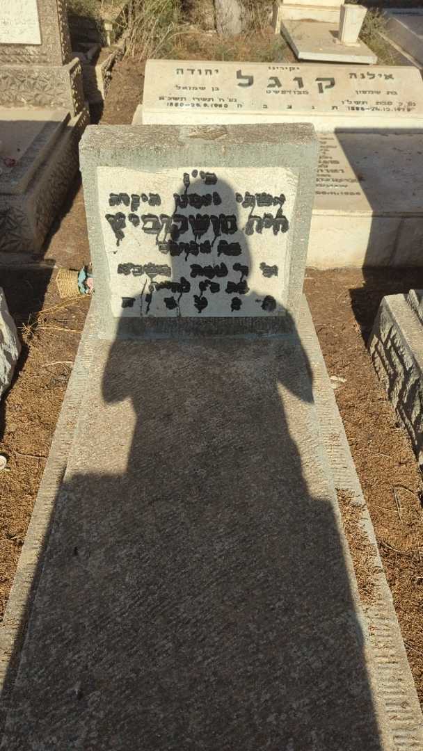 קברו של חיה מושקוביץ